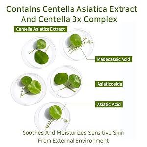 AHA BHA PHA CENTELLA AMPOULE SERUM - serumas su AHA, BHA ir PHA rūgštimis 40ML
