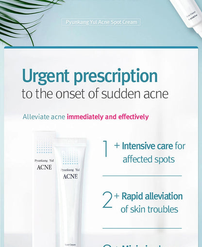 ACNE SPOT CREAM - kremas nuo spuogų ir uždegimo (15 ml)